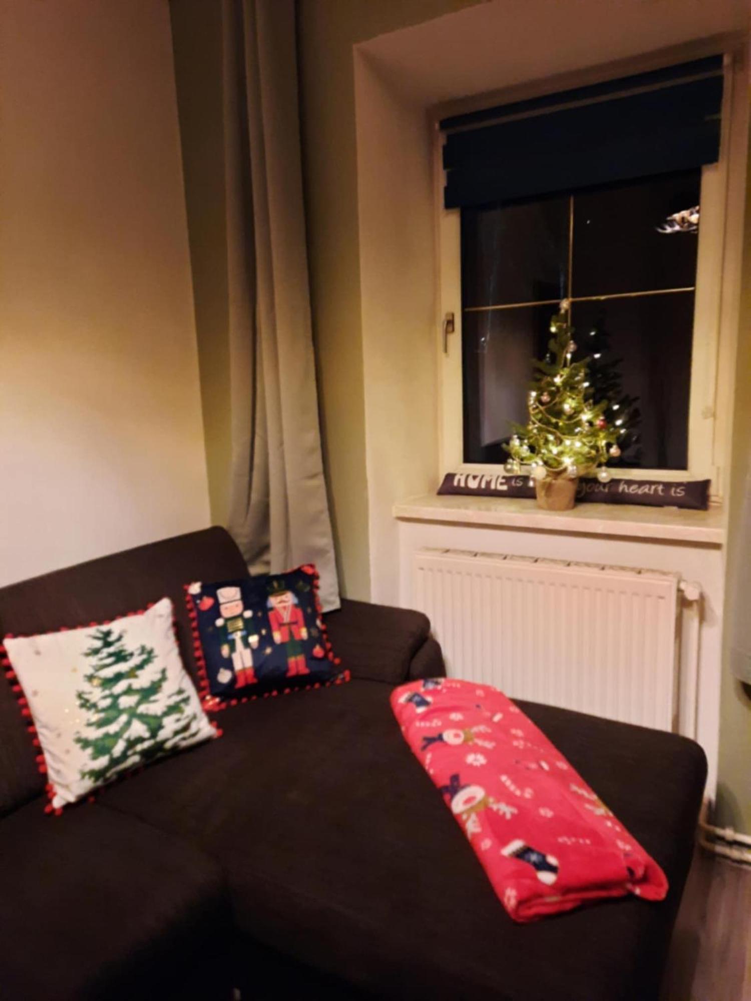 באד אאוסי Ausseerland Apartments - Relax, Ski, Hike And Bike, Garden, Parking, Bbq, Near Hallstatt, Loser, Tauplitz And Krippenstein, Free Wi-Fi And Netflix חדר תמונה