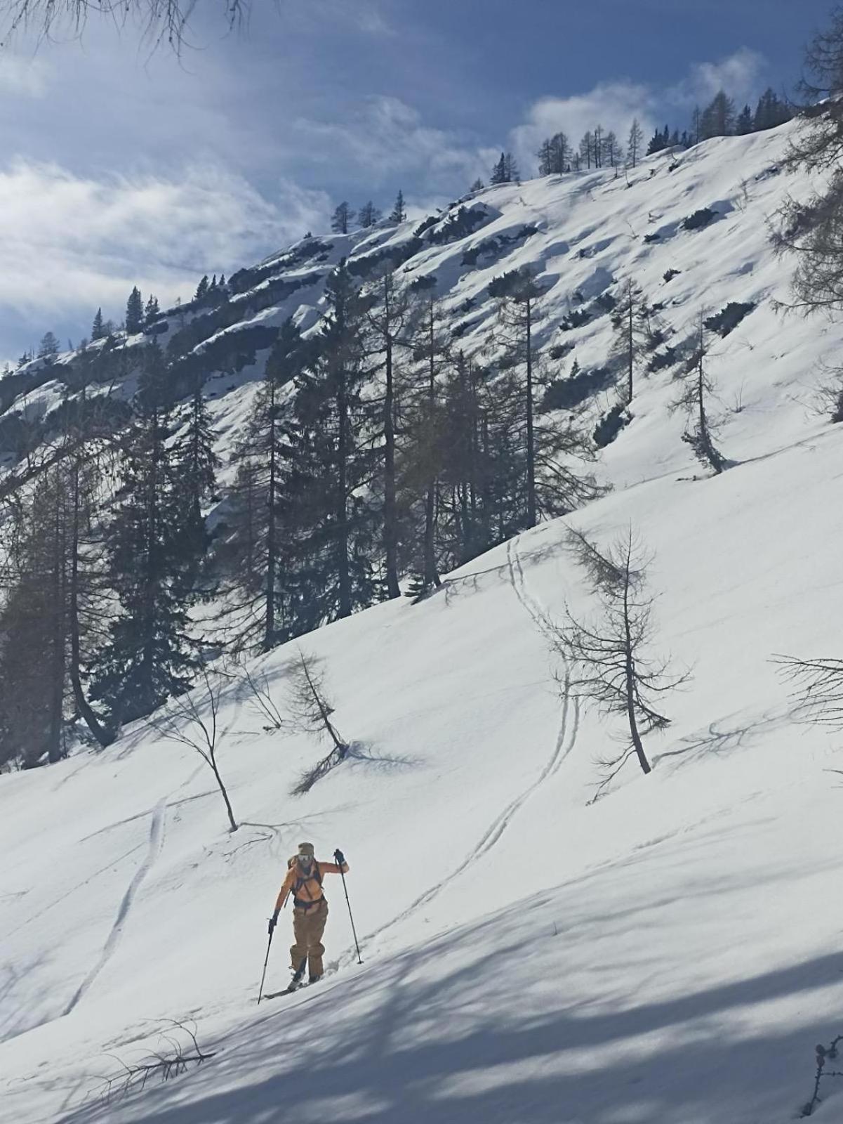 באד אאוסי Ausseerland Apartments - Relax, Ski, Hike And Bike, Garden, Parking, Bbq, Near Hallstatt, Loser, Tauplitz And Krippenstein, Free Wi-Fi And Netflix מראה חיצוני תמונה