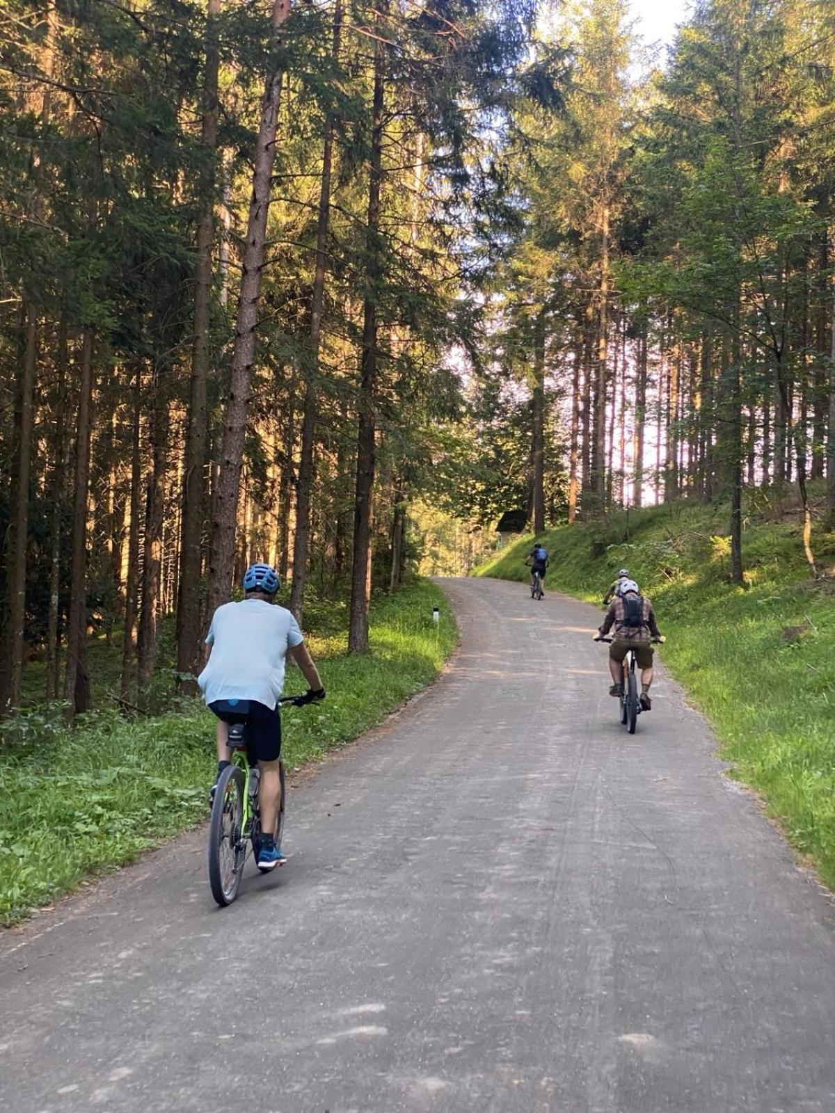 באד אאוסי Ausseerland Apartments - Relax, Ski, Hike And Bike, Garden, Parking, Bbq, Near Hallstatt, Loser, Tauplitz And Krippenstein, Free Wi-Fi And Netflix מראה חיצוני תמונה