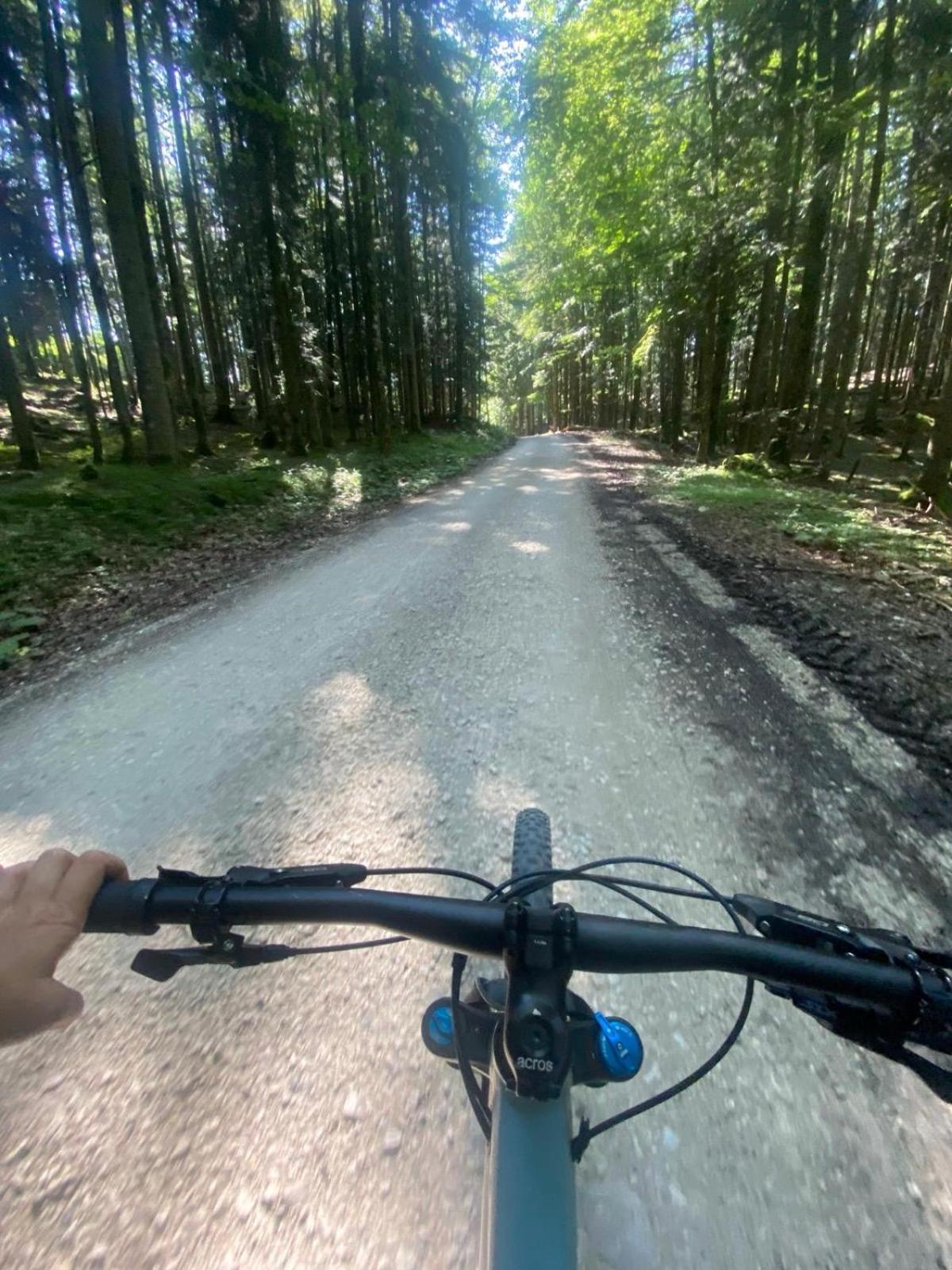 באד אאוסי Ausseerland Apartments - Relax, Ski, Hike And Bike, Garden, Parking, Bbq, Near Hallstatt, Loser, Tauplitz And Krippenstein, Free Wi-Fi And Netflix מראה חיצוני תמונה